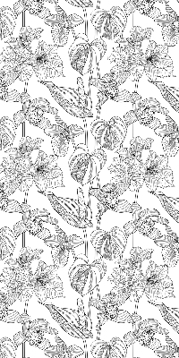 Rollo fenster mit gezeichneten Blumen