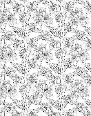 Rollo fenster mit gezeichneten Blumen