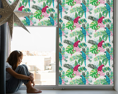Fensterrollo für den Innenbereich