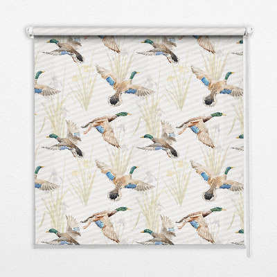Rollo Fenster mit fliegenden Enten