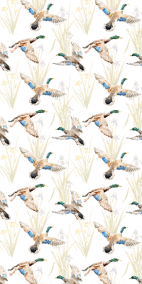 Rollo Fenster mit fliegenden Enten