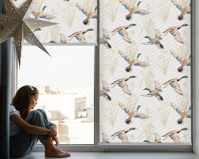 Rollo Fenster mit fliegenden Enten