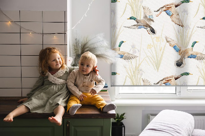 Rollo Fenster mit fliegenden Enten