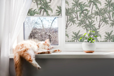 Rollo Fenster palmen