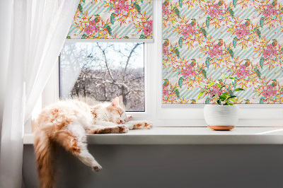 Rollo für Fenster