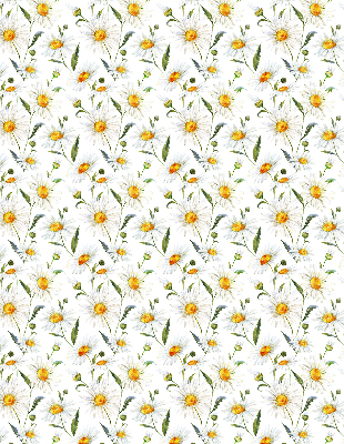 Fensterrollo mit Gänseblümchen-Motiv