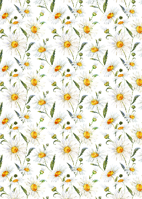 Fensterrollo mit Gänseblümchen-Motiv