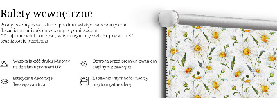 Fensterrollo mit Gänseblümchen-Motiv