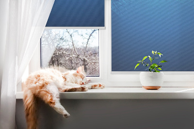 Fensterrollo in blauer Ausführung