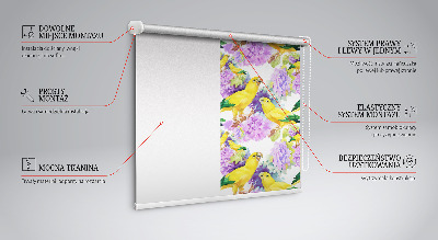 Fensterrollo innen in Gelb mit Papageienmotiv