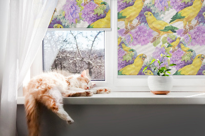 Fensterrollo innen in Gelb mit Papageienmotiv