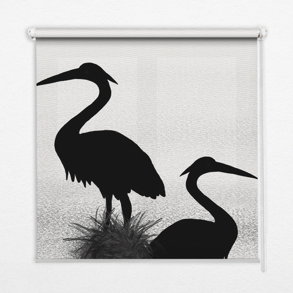 Rollo Fenster für Reiher
