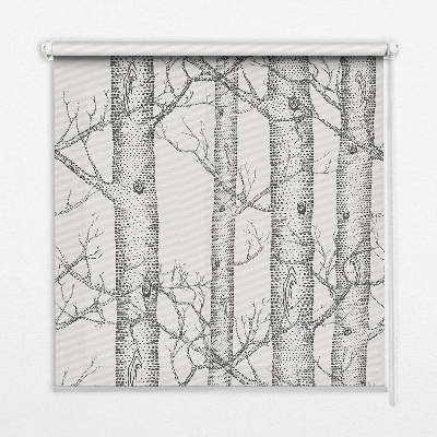 Fensterrollo innen