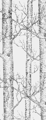 Fensterrollo innen