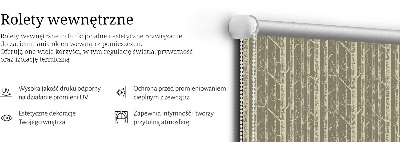 Fensterrollo innen