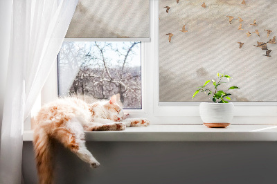 Fensterrollo innen ein Vogelschwarm