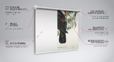 Fensterrollo innen mit dem Motiv Vögel auf einem Ast