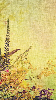 Fensterrollo innen