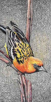 Rollo Fenster mit Motiv eines Vogels auf einem Ast