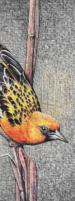 Rollo Fenster mit Motiv eines Vogels auf einem Ast