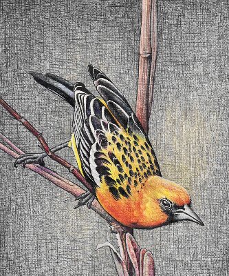 Rollo Fenster mit Motiv eines Vogels auf einem Ast