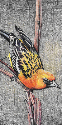 Rollo Fenster mit Motiv eines Vogels auf einem Ast