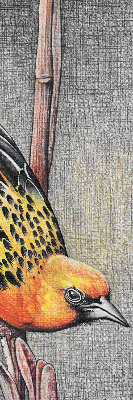 Rollo Fenster mit Motiv eines Vogels auf einem Ast