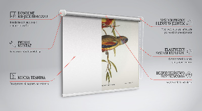 Rollo Fenster mit zwei Vögeln auf einem Ast