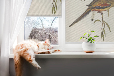 Rollo Fenster mit zwei Vögeln auf einem Ast