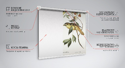 Rollo Fenster mit Vögeln auf einem Baum