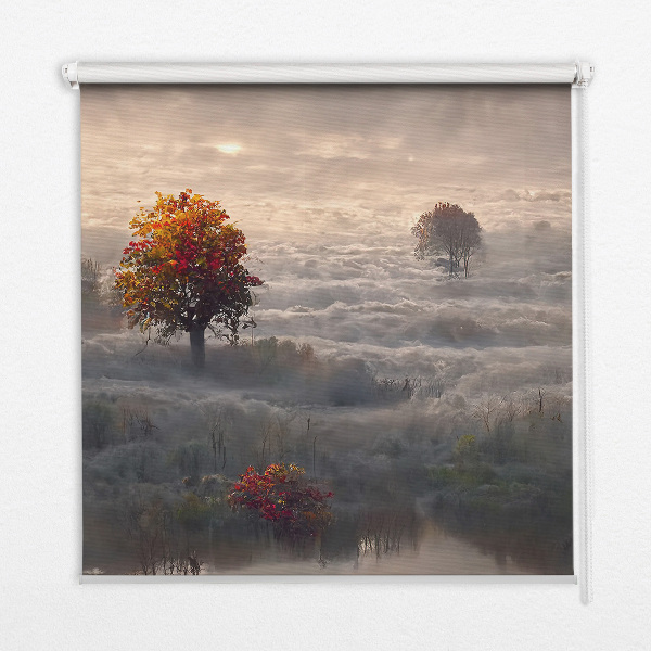 Fensterrollo innen im Design „Bäume im Nebel“