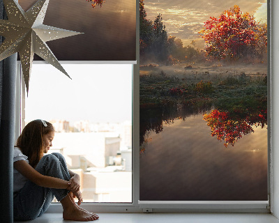 Rollo Fenster für Sonnenuntergang hinter den Bäumen