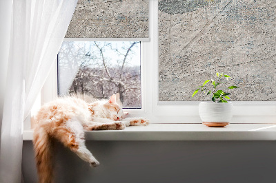 Fensterrollo innen mit spiegelnden Blättern