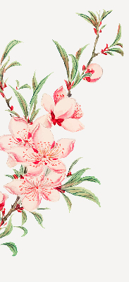 Fensterrollo in Rosa mit Blumenmotiv