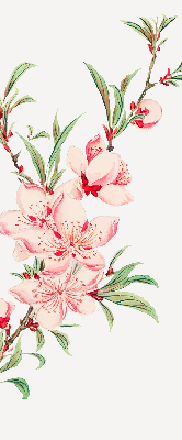 Fensterrollo in Rosa mit Blumenmotiv