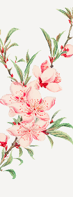 Fensterrollo in Rosa mit Blumenmotiv