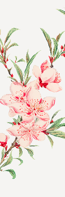 Fensterrollo in Rosa mit Blumenmotiv
