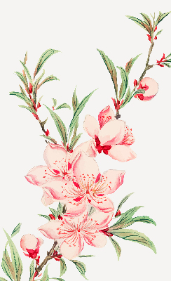 Fensterrollo in Rosa mit Blumenmotiv