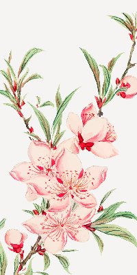 Fensterrollo in Rosa mit Blumenmotiv