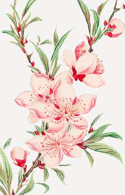 Fensterrollo in Rosa mit Blumenmotiv