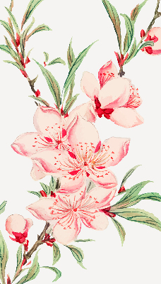 Fensterrollo in Rosa mit Blumenmotiv