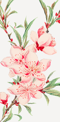 Fensterrollo in Rosa mit Blumenmotiv
