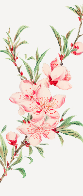 Fensterrollo in Rosa mit Blumenmotiv