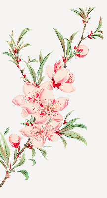 Fensterrollo in Rosa mit Blumenmotiv