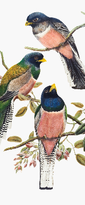 Fenster Rollo innen mit Vögel auf den Zweigen