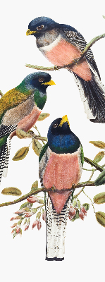 Fenster Rollo innen mit Vögel auf den Zweigen