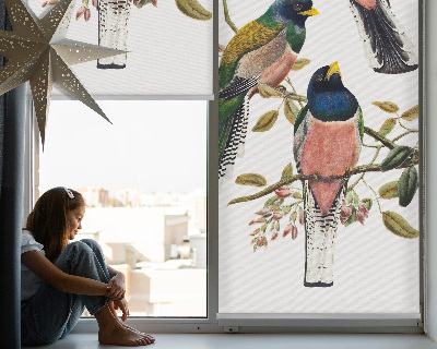 Fenster Rollo innen mit Vögel auf den Zweigen