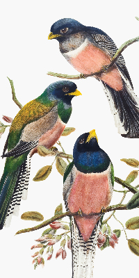 Fenster Rollo innen mit Vögel auf den Zweigen