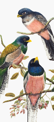 Fenster Rollo innen mit Vögel auf den Zweigen