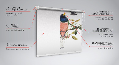 Fenster Rollo innen mit Vögel auf den Zweigen